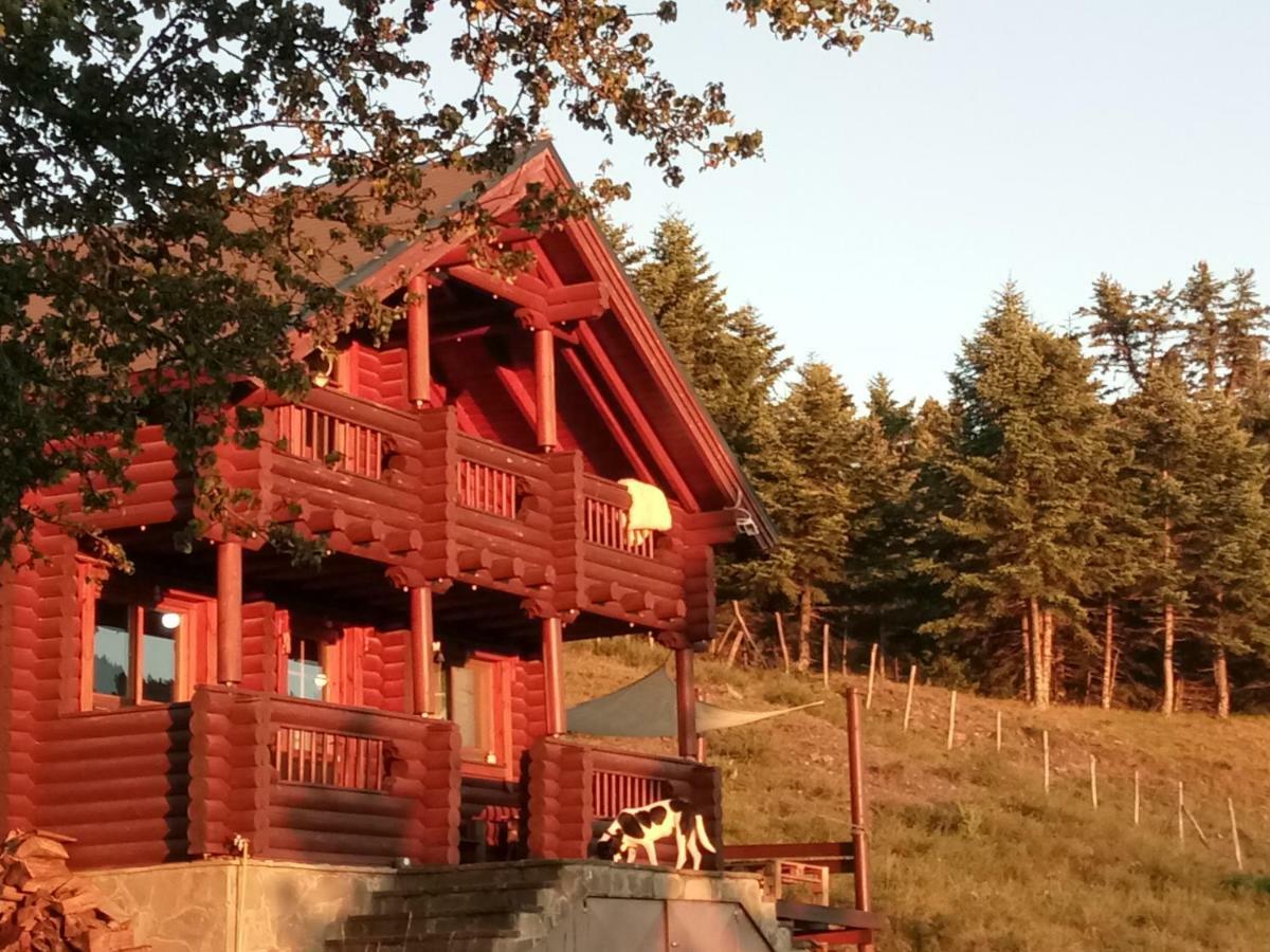 Katafygio Chalet, Krikello Krikellon Ngoại thất bức ảnh